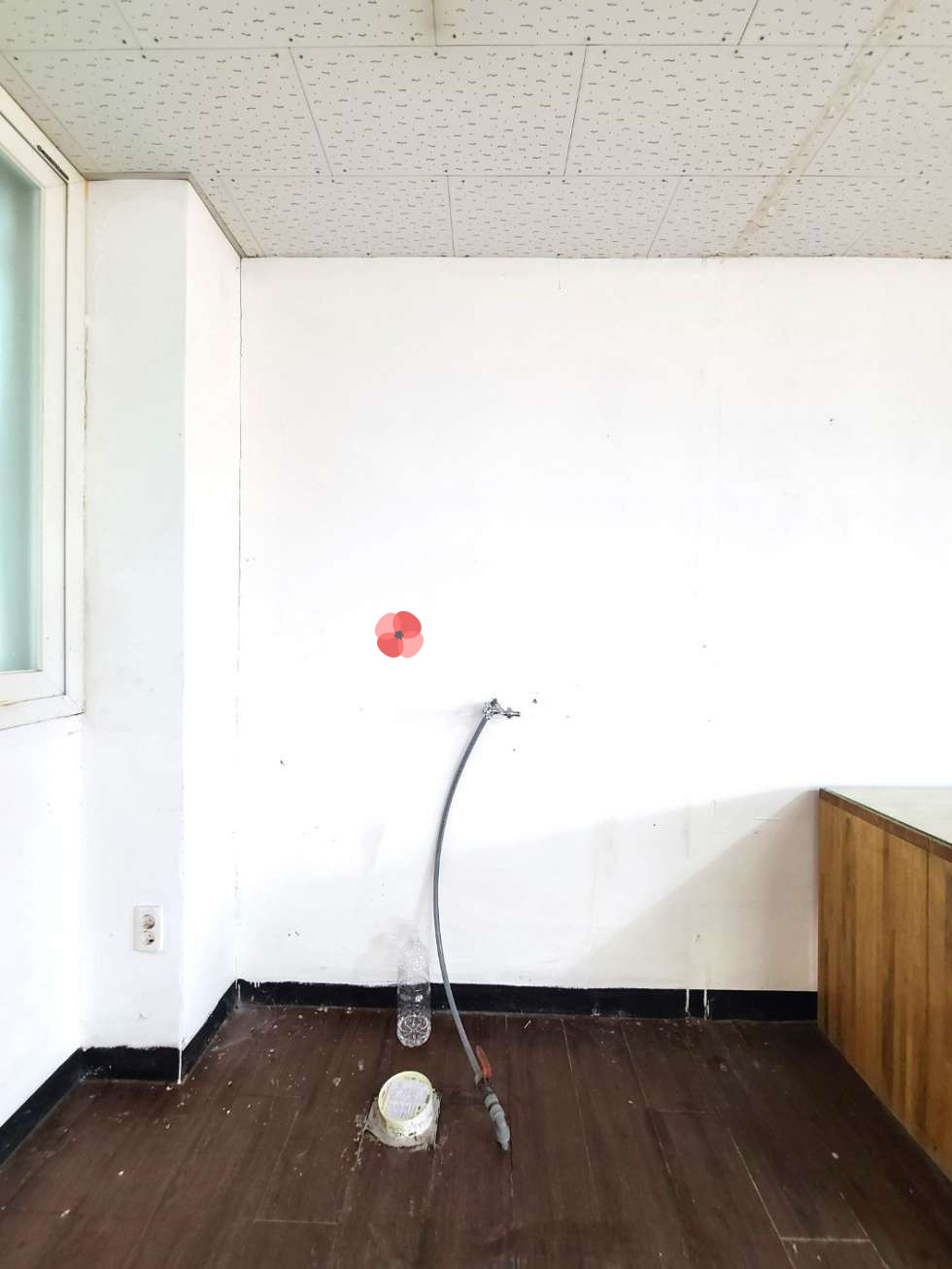 전북 전주완산구 평화동1가 ⭐사무실/창고형매장/피부/미용/방문요양/공방/판매시설⭐다양한업종가능해요⭐ 월세 매물번호 12602 사진 6