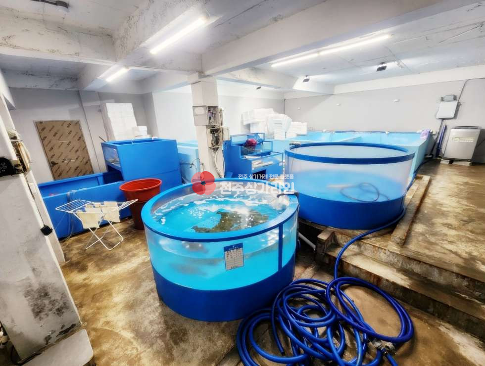 전북 전주덕진구 우아동2가 ⭐수산물도소매⭐배달⭐활어⭐수산물창고형으로임대가능⭐냉장⭐냉동⭐휴게실완비⭐ 월세 매물번호 13056 사진 3