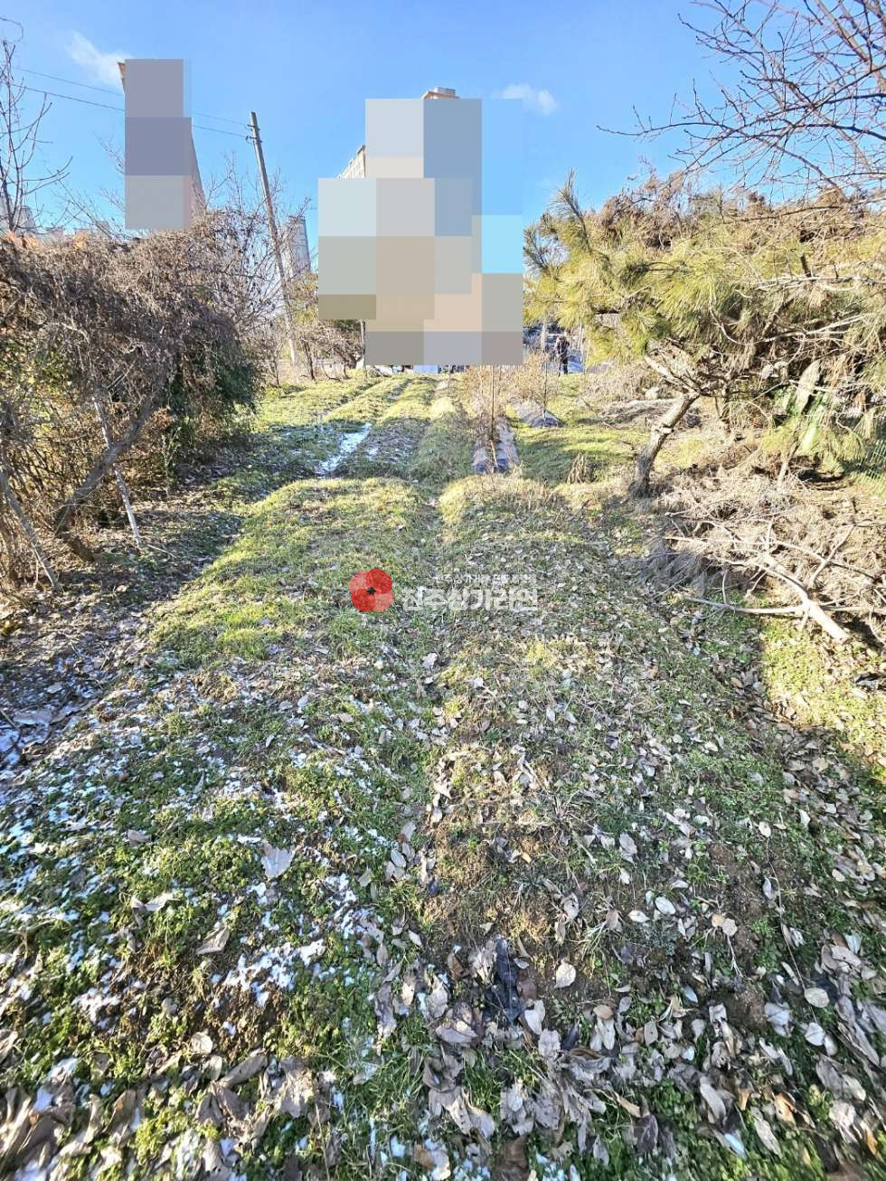 전북 전주덕진구 만성동 ⭐만성동 위치 좋은 토지 매매 강력추천⭐대박매물⭐합리적인가격⭐큰대로변인접⭐ 매매 매물번호 13112 사진 4