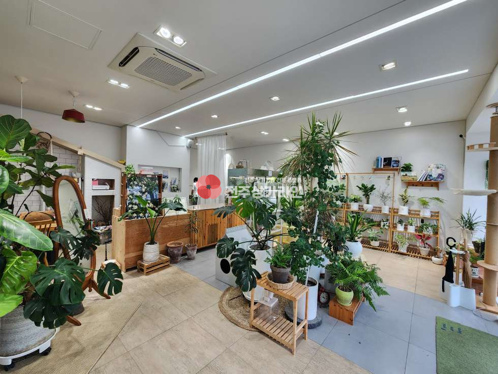 전북 전주완산구 효자동1가 ⭐무권리금 상가⭐꽃집운영중⭐대로변상가⭐ 월세 매물번호 13661 사진 1