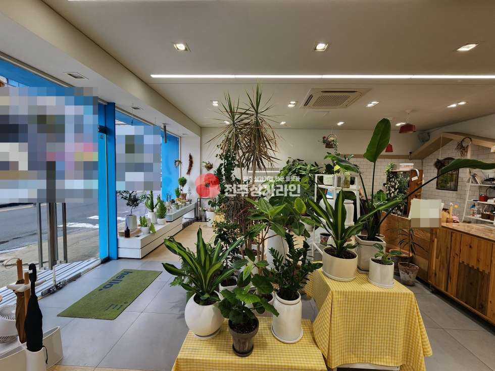 전북 전주완산구 효자동1가 ⭐무권리금 상가⭐꽃집운영중⭐대로변상가⭐ 월세 매물번호 13661 사진 4