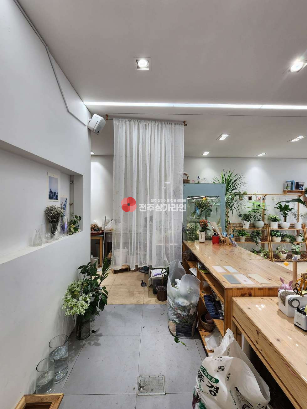전북 전주완산구 효자동1가 ⭐무권리금 상가⭐꽃집운영중⭐대로변상가⭐ 월세 매물번호 13661 사진 6