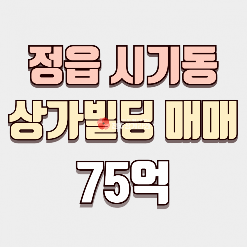 전북 정읍시 시기동 ⭐정읍 신축빌딩 통매매⭐대형 프렌차이즈 입점예정⭐ 매매 매물번호 13738 사진 1