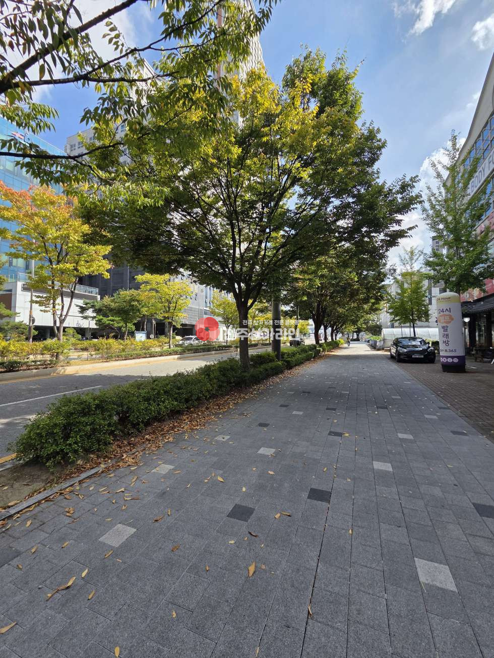 전북 전주완산구 효자동2가 ⭐신시가지 부근 대로변 상가⭐가시성 최고⭐ 월세 매물번호 14553 사진 5